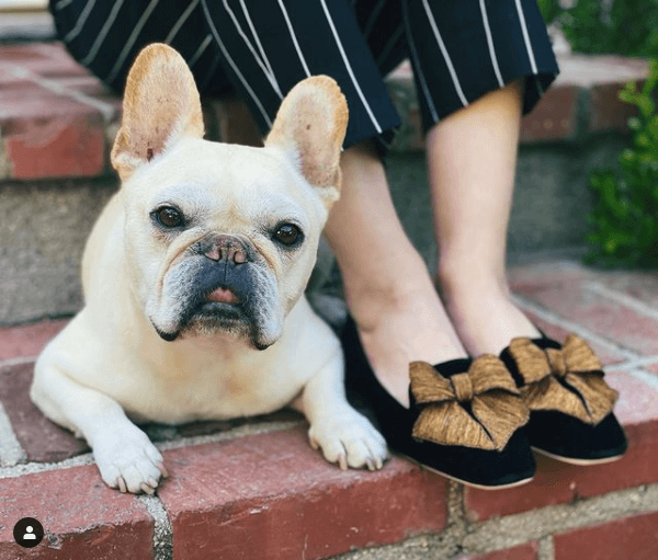 Jill Lincoln yeni Fiocco Moccasins'iyle